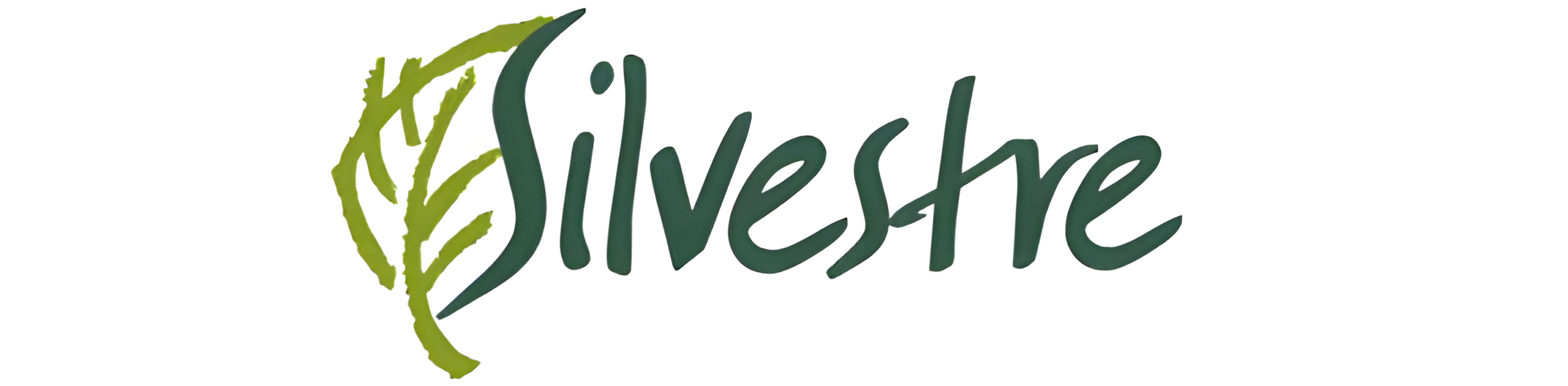 Silvesshe